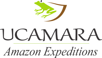 Ucamara Amazon Expeditions